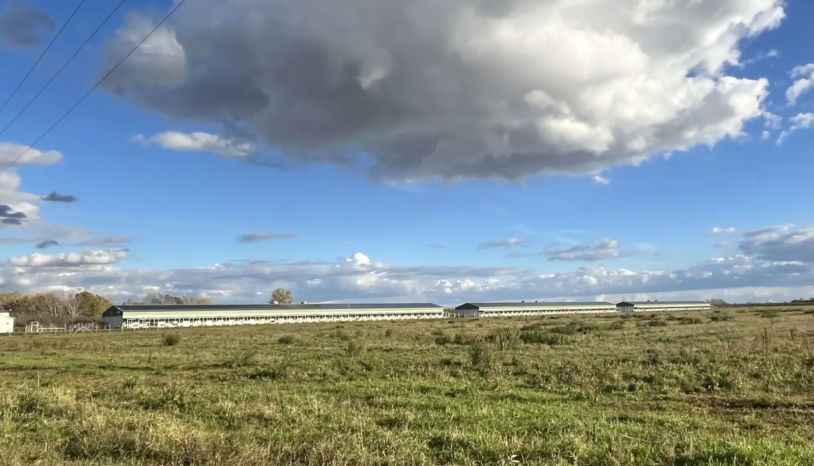 Állattartó telep, Aranyosapáti, 2018 – 4000 m²